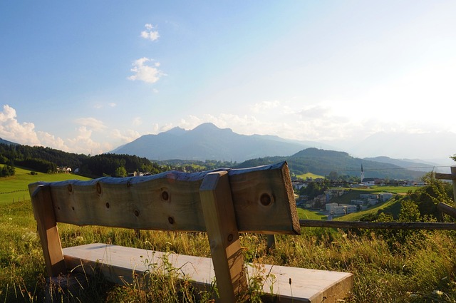 球队核心勒