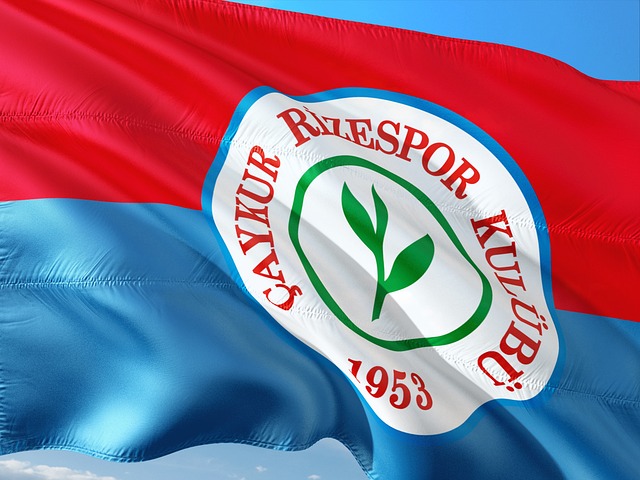 的各种营养 的各种营养