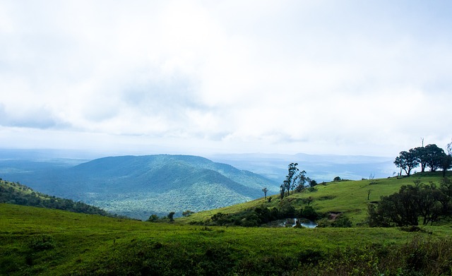 临场应变不 临场应变不