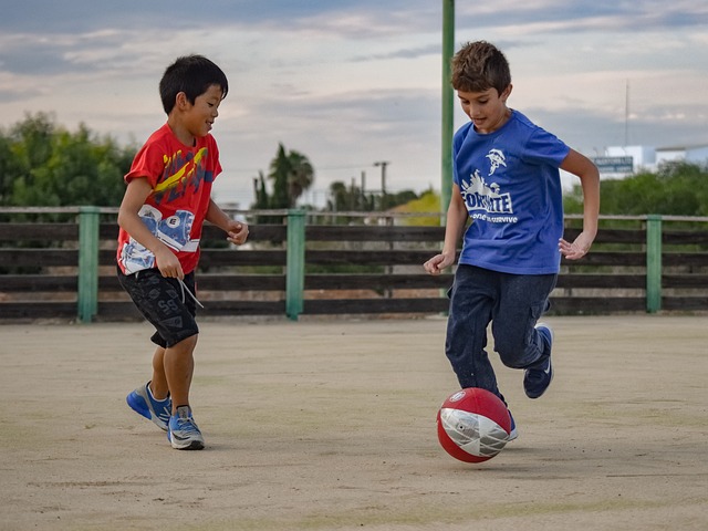 新的高度 新的高度
