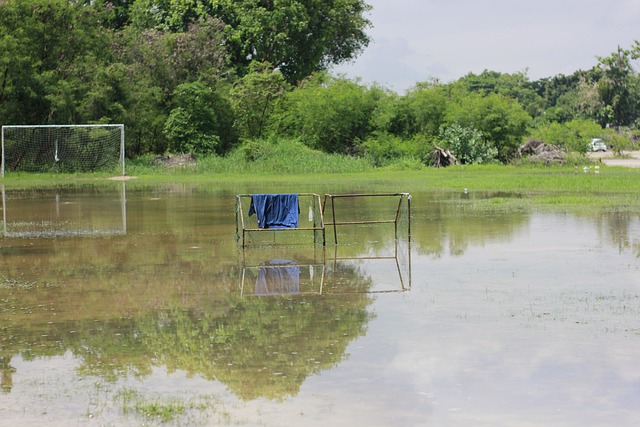 [乒乓球]亚洲杯小组赛：张本智和VS黄友政 集锦.