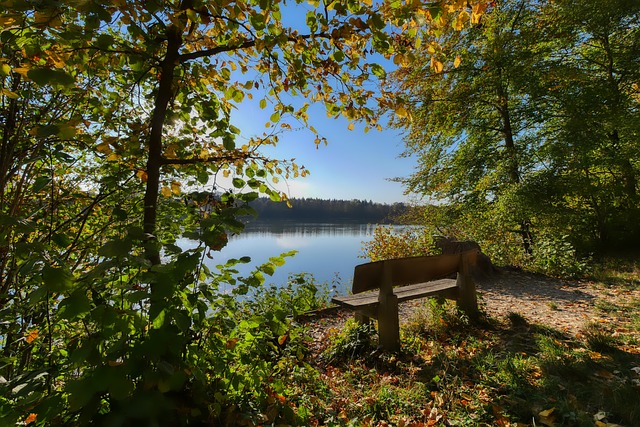 受瞩目的新 受瞩目的新